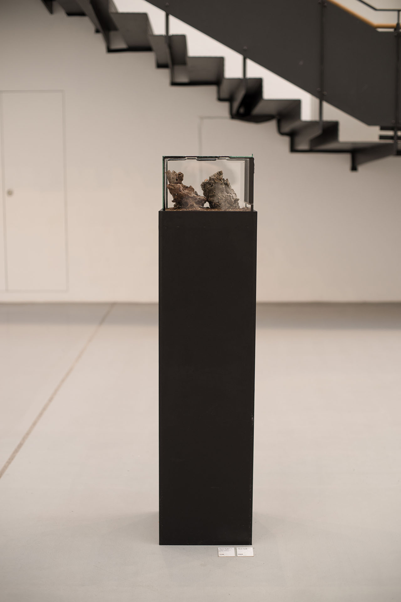 As part of the installation of Gazing Figures, a terrarium is positioned in front of a large staircase in the exhibition space. The terrarium is placed upon a black, high pedestal. Within it, two pieces of tree bark provide housing to a jumping spider. The spider is not visible.