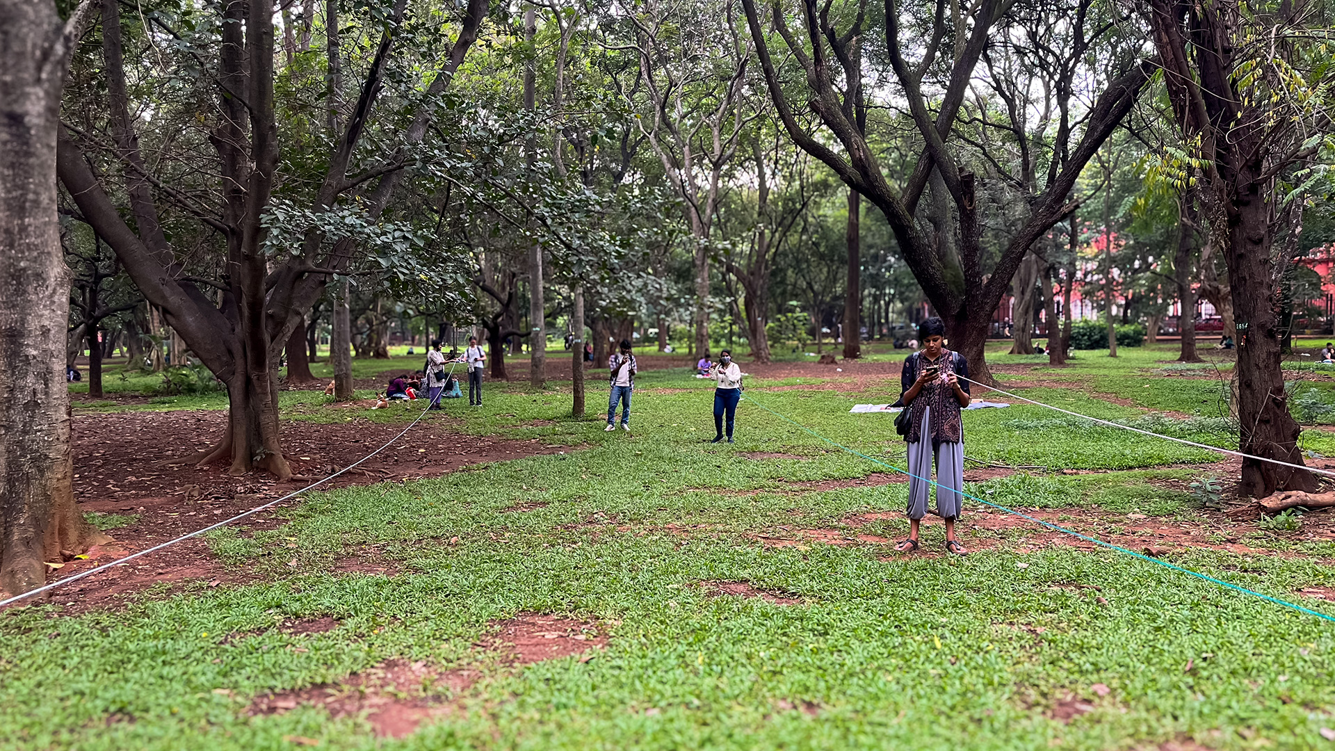 A group of people at Cubbon Park participate in a workshop activity in which they measure the dimensions of a hotspot. They are holding ropes stretched between trees. The park features tall trees, dense foliage, and a carpet of grass.