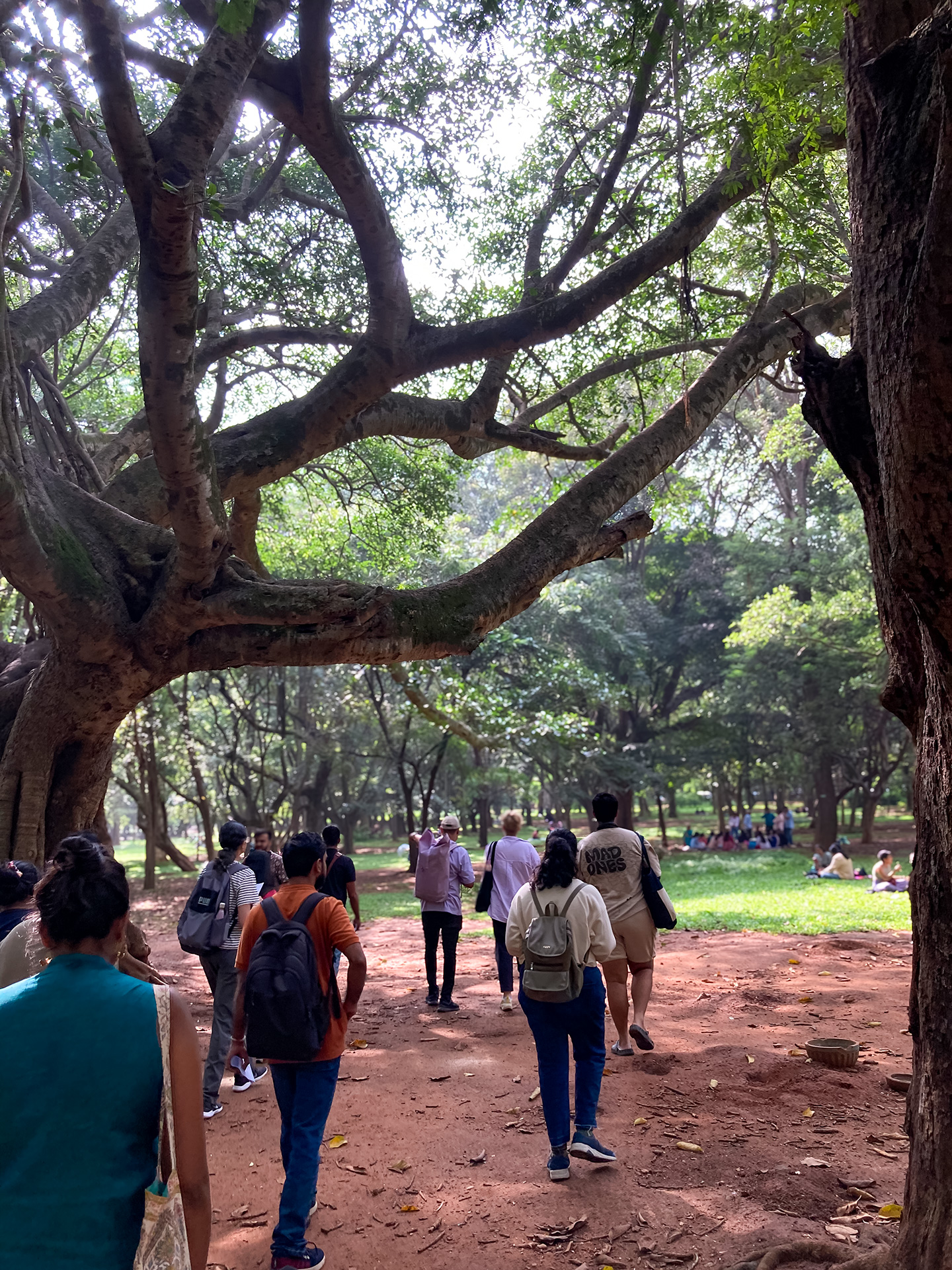 The workshop group is walking into Cubbon Park. The photo shows 10 South Indian people wearing light summer clothing. They are moving underneath of a large tree, the sunlight is warm and welcoming.
