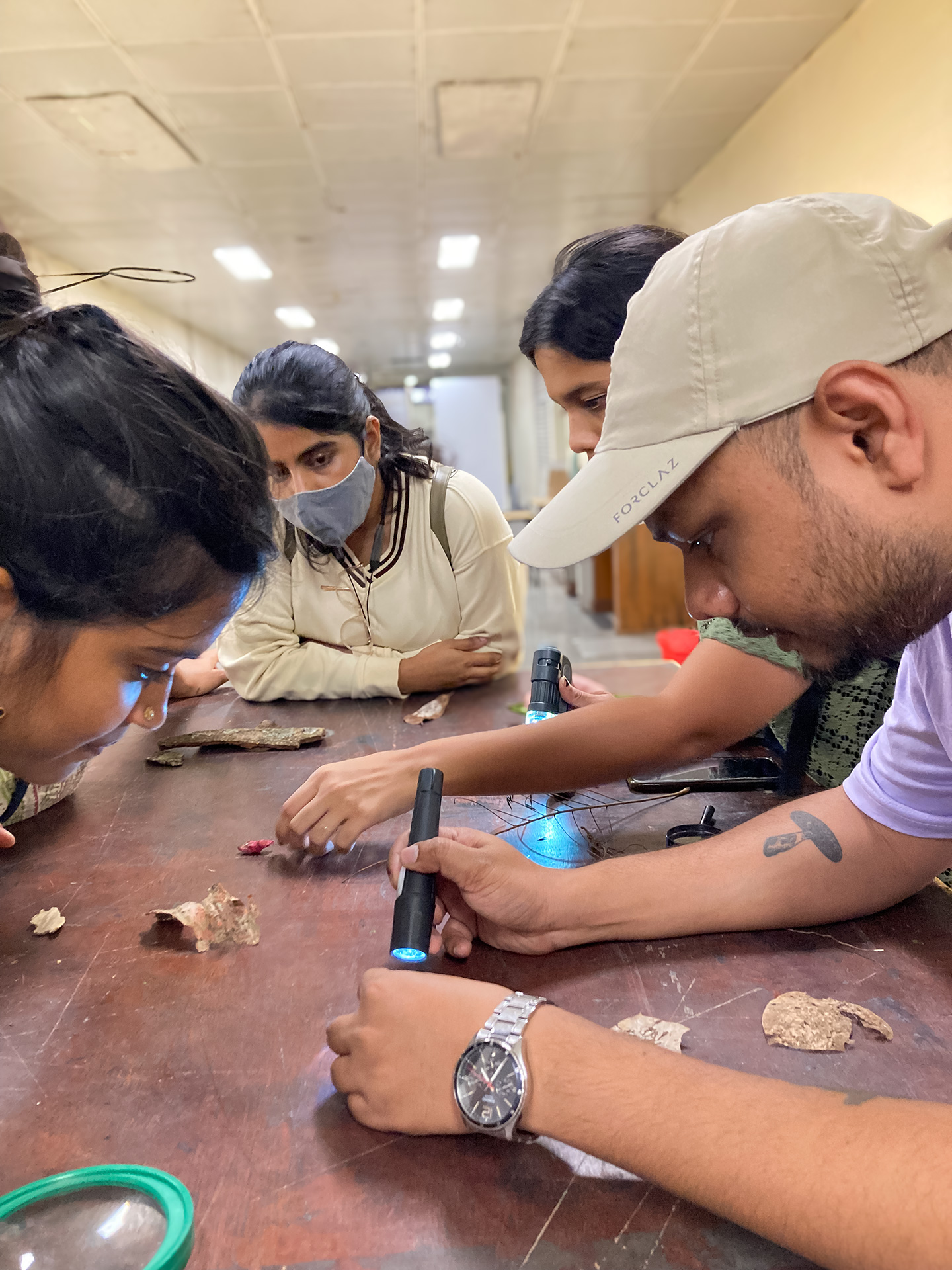 During the workshop at Art in Transit, four people are looking at lichens placed on a wooden table. Biplab, the person on the right, is using a UV light to show something to the others.